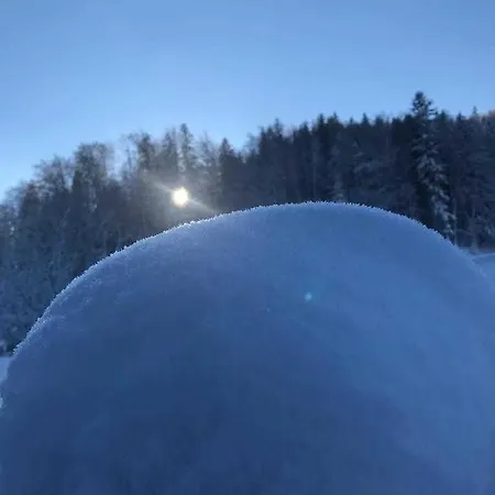 Familie Brunner, Kreuth-reitrain * Oberach